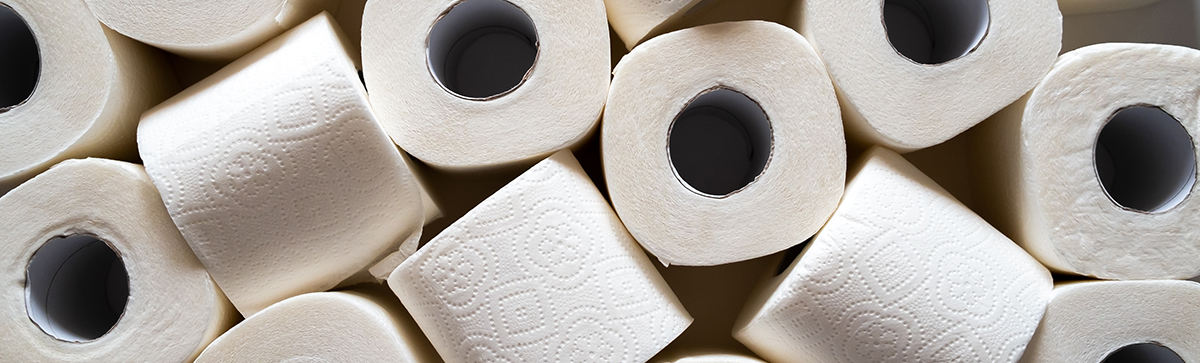 Many rolls of toilet paper