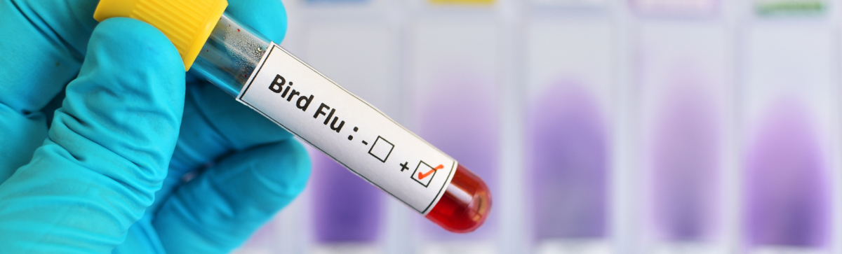Medical gloved hand holding a vial starting bird flu