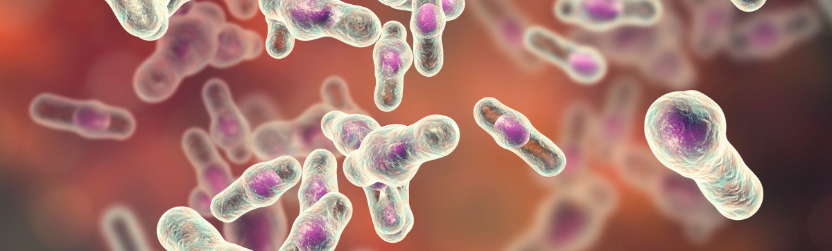 Image of microscopic bacteria.