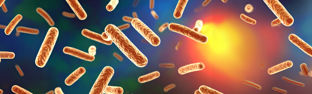 3D Illustration of Legionella Bacteria Causing Legionnaires' Disease